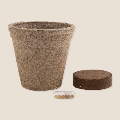 Kit cultivo con maceta biodegradable publicitaria